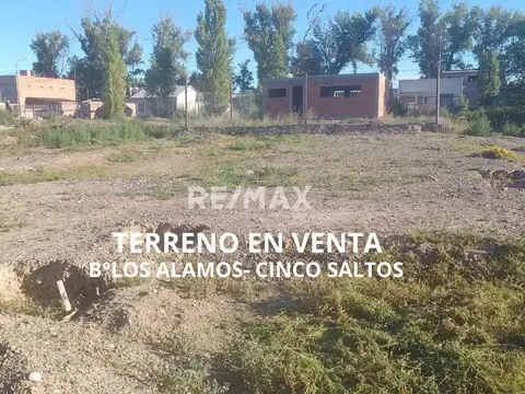 TERRENO EN VENTA - B° LOS ALAMOS - CINCO SALTOS