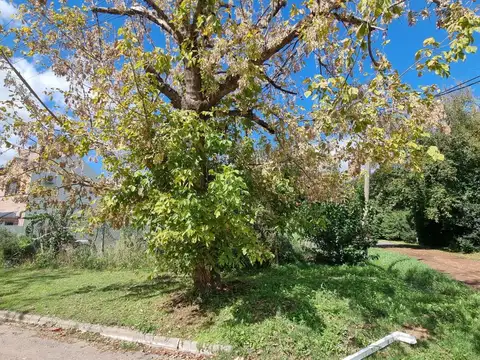 Carlos Calvo esquina Garcilaso de la Vega