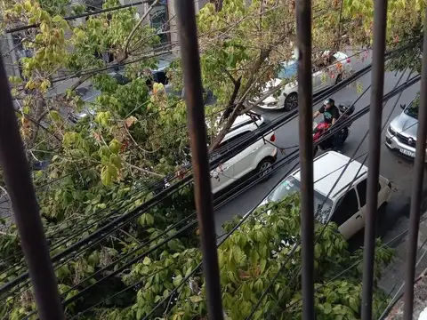 Oficina en Alquiler al Norte