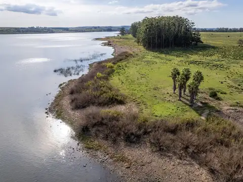 Chacra de 11 hectáreas, venta en laguna del sauce