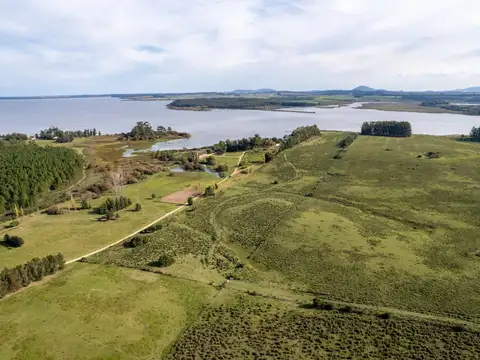 ruta 12, laguna del sauce 100