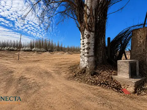 Terreno en Alquiler en Centenario, $ 10.000.000