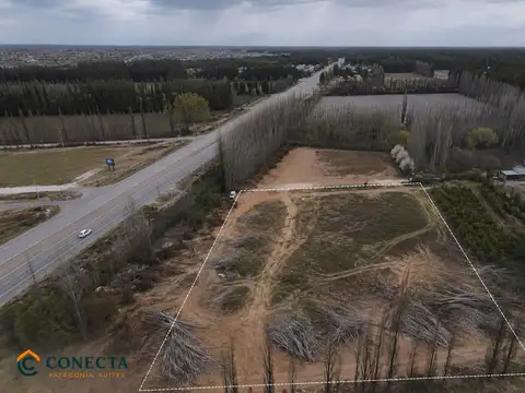Terreno en Alquiler 50  mts Fondo