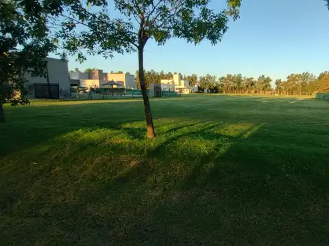Terreno en Venta 29  mts Frente