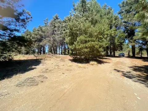 Terreno en Venta de 789,0 m2