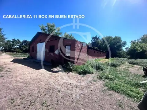 CAMPO 5.8 HECTAREAS CON CASA  Y BOX CABALLOS