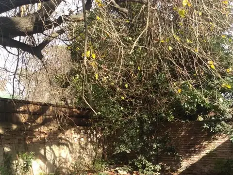 Casa 2 ambientes con 1 baño