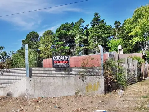 Querini y Gaboto