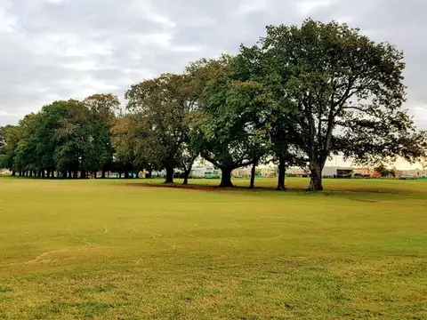 Lote en venta sobre el golf, B°Las Lomas, Haras Santa Maria 