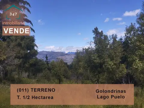 (011) LAS GOLONDRINAS (Lago Puelo) Terreno de media hectárea