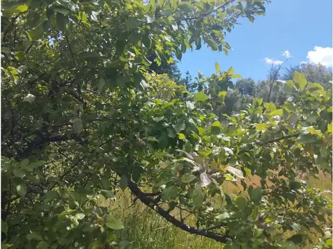 (011) LAS GOLONDRINAS (Lago Puelo) Terreno de media hectárea