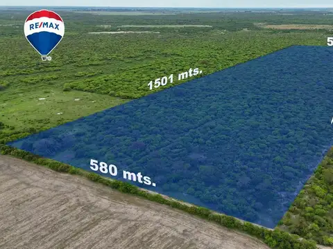 SE VENDE CAMPO GANADERO EN LA SARITA