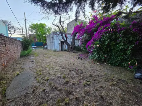 Juan Bautista Alberdi 600