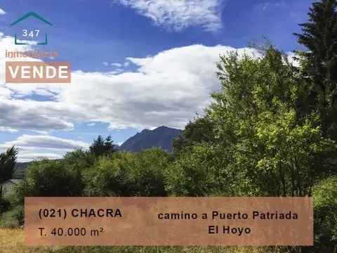 (021) EL HOYO (Rincon de Lobos) Chacra de 4Has