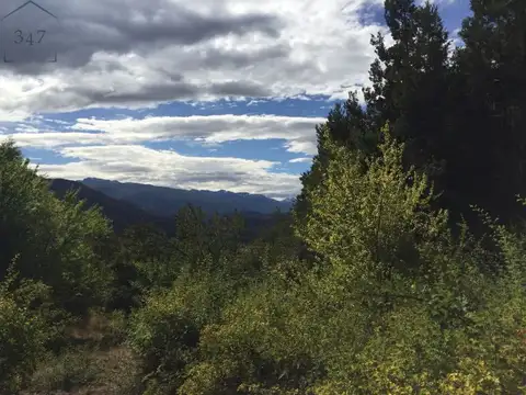 (021) EL HOYO (Rincon de Lobos) Chacra de 4Has