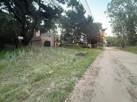 Avenida 1