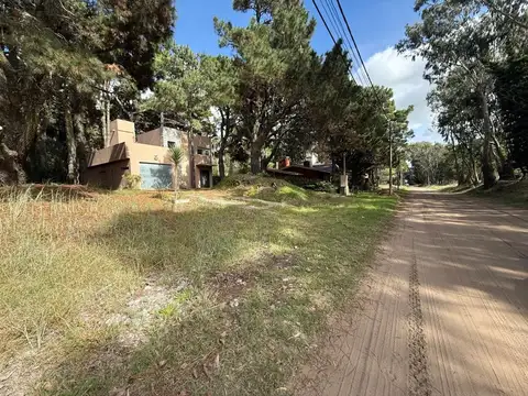 Avenida 1