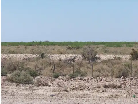 VENTA - Campo de 5.763 Has sobre Ruta 40 (Límite Mendoza/San