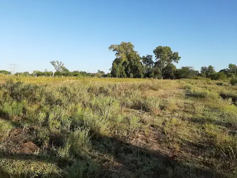ruta 34