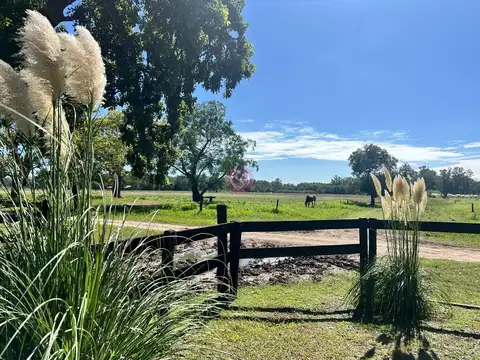 Terreno Campo  en Venta en Ruta 28, Pilar, G.B.A. Zona Norte