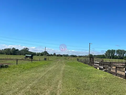 Terreno Campo  en Venta en Ruta 28, Pilar, G.B.A. Zona Norte
