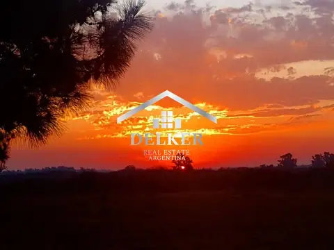 VENTA CAMPO AGRICOLA 235 HA EN GUALEGUAYCHU ENTRE RIOS