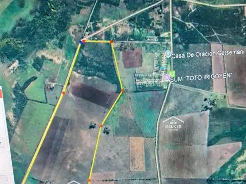 Ruta 42 100