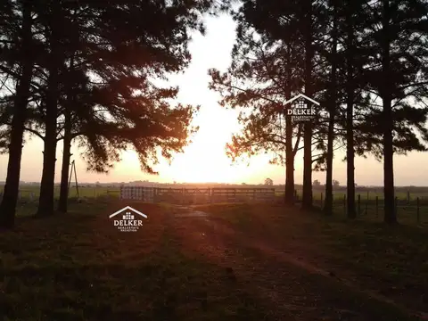 VENTA CAMPO AGRICOLA 235 HA EN GUALEGUAYCHU ENTRE RIOS