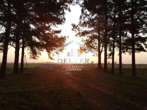 VENTA CAMPO AGRICOLA 235 HA EN GUALEGUAYCHU ENTRE RIOS