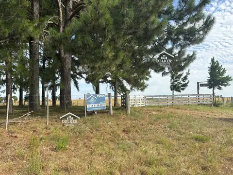 Ruta 42 100