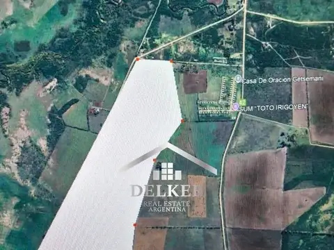 VENTA CAMPO AGRICOLA 235 HA EN GUALEGUAYCHU ENTRE RIOS