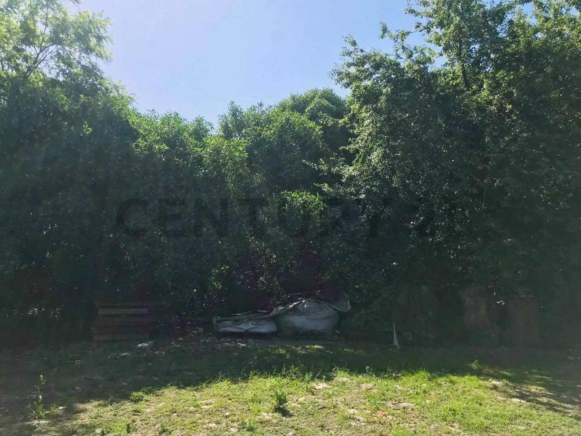 LOTE EN VENTA BARRIO SAN CARLOS ID 20071