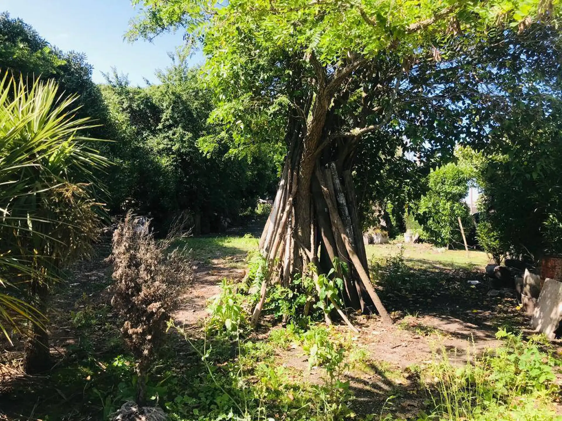 LOTE EN VENTA BARRIO SAN CARLOS ID 20071