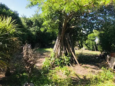 LOTE EN VENTA BARRIO SAN CARLOS ID 20071