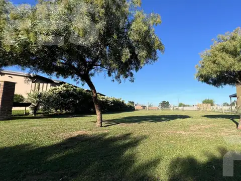 lote san ramiro