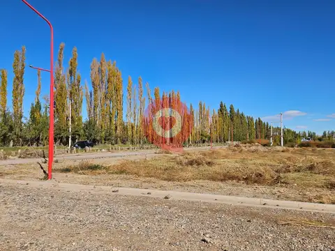 Terreno 1.042m2 en B° Milenium Cipolletti