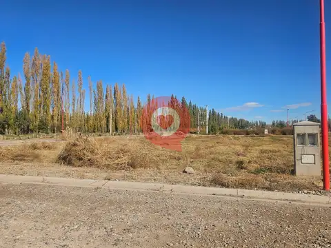 Terreno en Venta en Cipolletti, USD 115.000