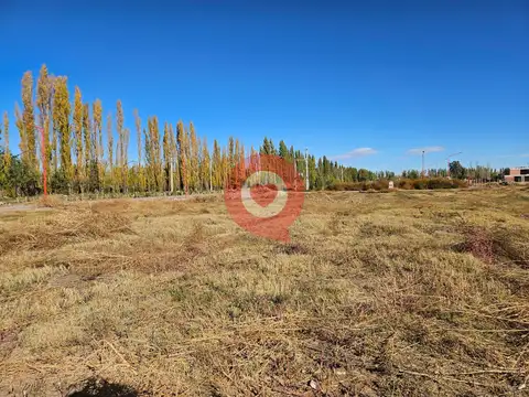 Terreno en Venta de 1042,0 m2
