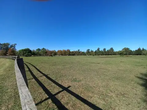 El Campo - Fincas Exclusivas Cardales