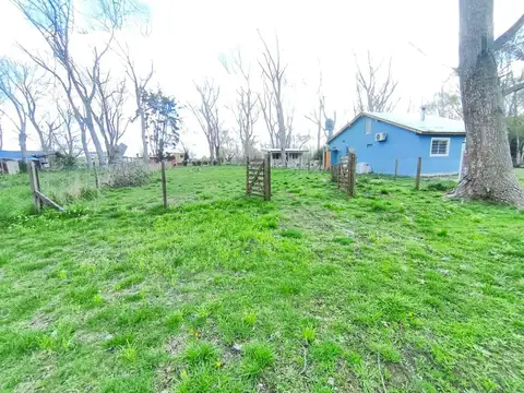 LAS LILAS ENTRE MARGARITAS Y AV 2