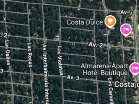 LAS LILAS ENTRE MARGARITAS Y AV 2