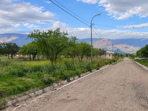Terreno en Venta en Merlo San Luis - Pedro Melo