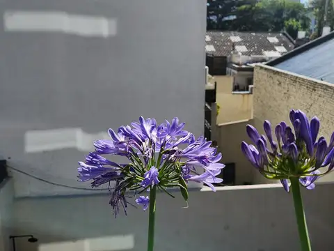 Departamento | Alquiler | Saavedra | Amenities Premium