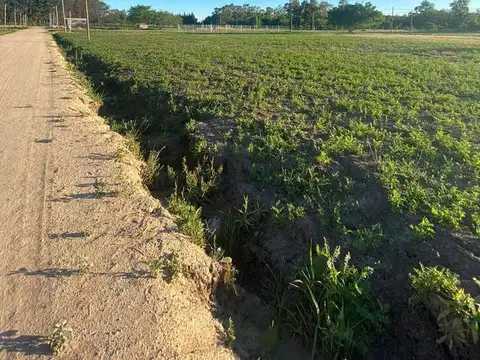 Terreno en venta - 300Mts2 - Latitud 34, Los Hornos, La Plata