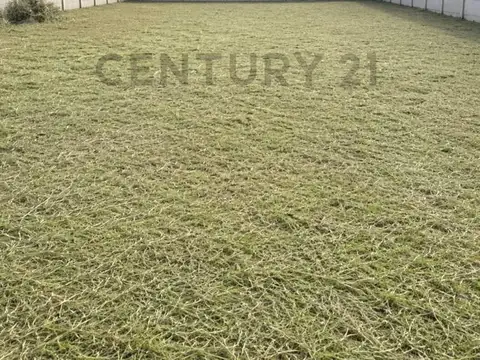 Terreno en Venta 13  mts Frente