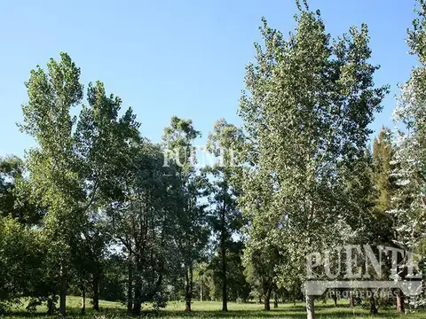 Terreno en Venta en Canning, USD 400.000