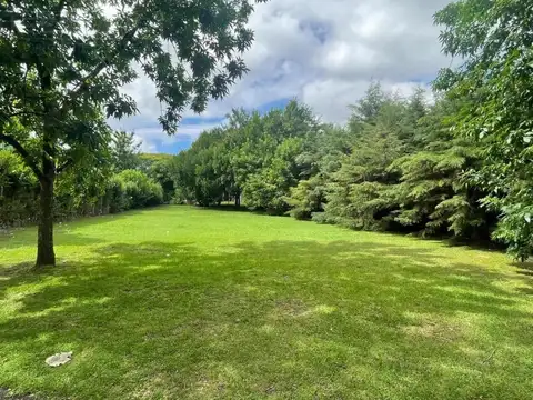 Venta terreno oportunidad en Barrio Alamo Alto