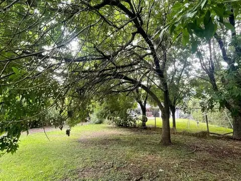 Terreno en Venta en Alamo Alto, USD 60.000