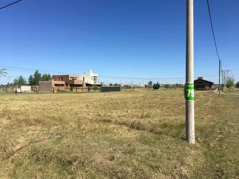 Calle Pública Lote 2115 Manzana 79