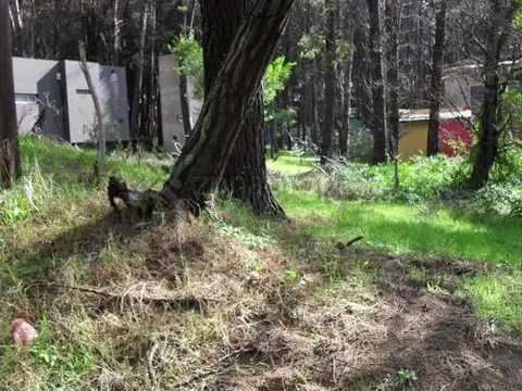 Terreno en Venta en Mar Azul, USD 40.000